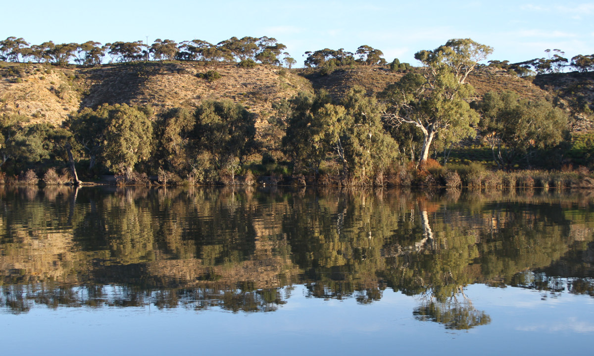 Thumbnail for Poem: Reflections