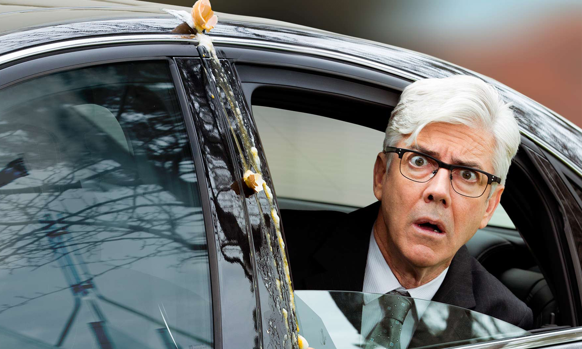 Thumbnail for Rosehaven and Micallef’s Ex-PM return to ABC TV