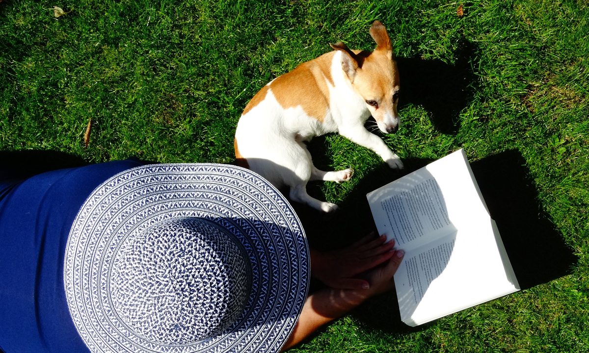Thumbnail for Seven great summer reads from Laura Kroetsch