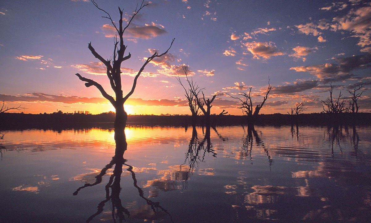 Thumbnail for Poem: Evening on the Murray