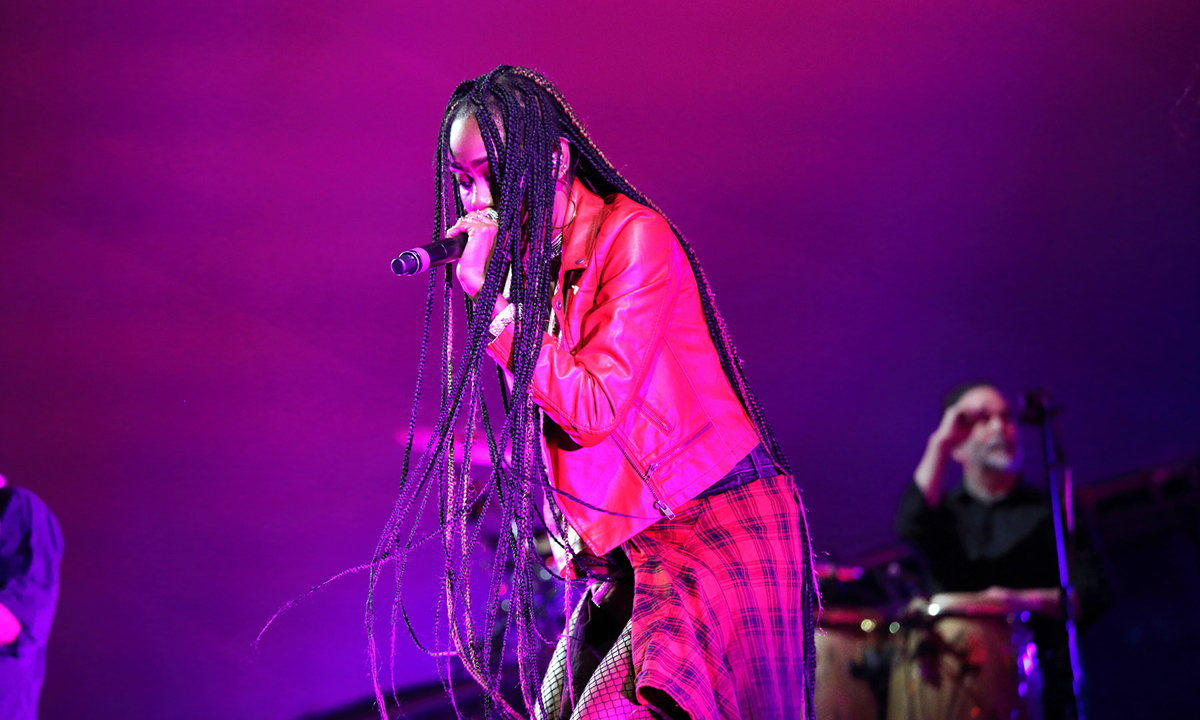 Thievery Corporation played the finale show at WOMADelaide last night. Photo: Tony Lewis