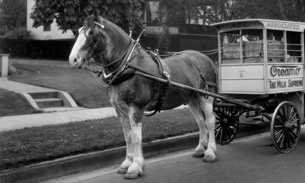 Thumbnail for Poem: Horses