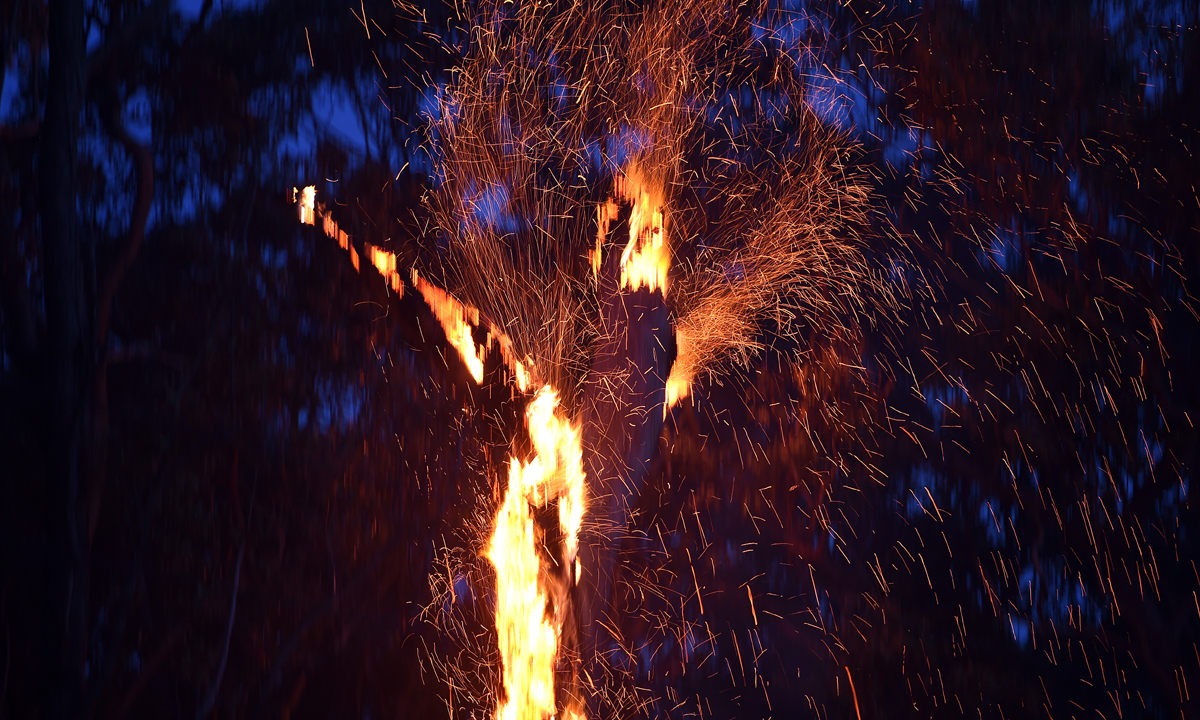 Thumbnail for Poem: Burnt