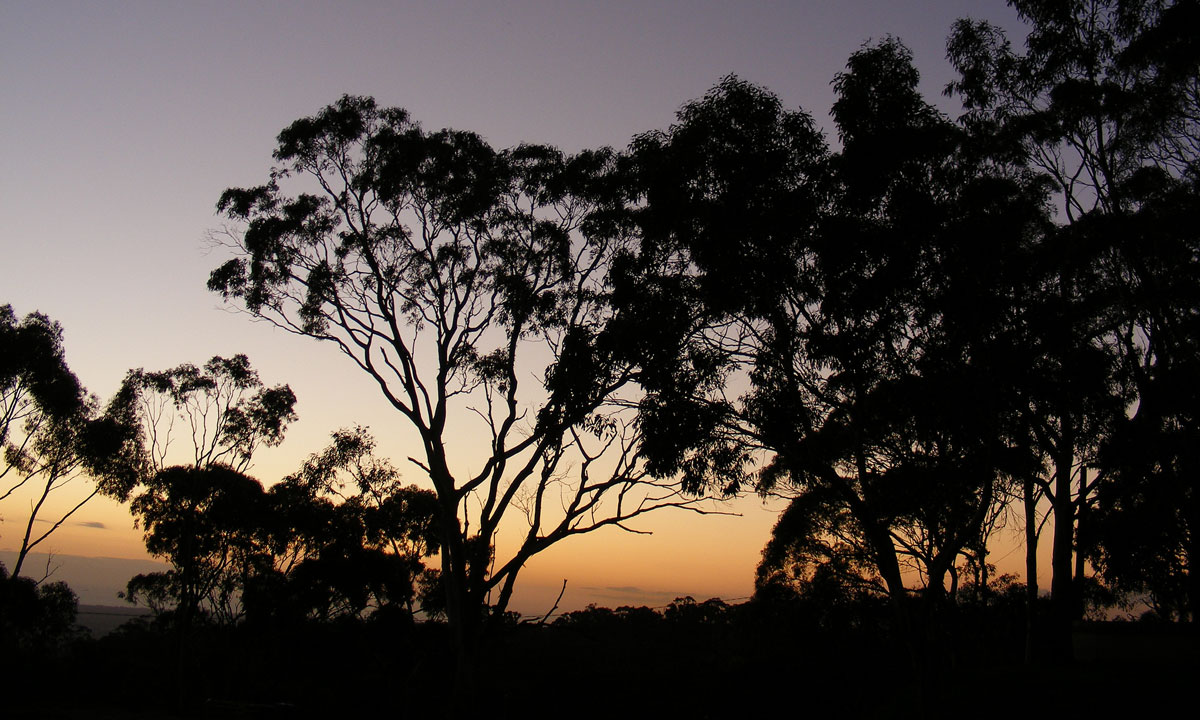 Thumbnail for Poem: Litanies on the Homeward Road