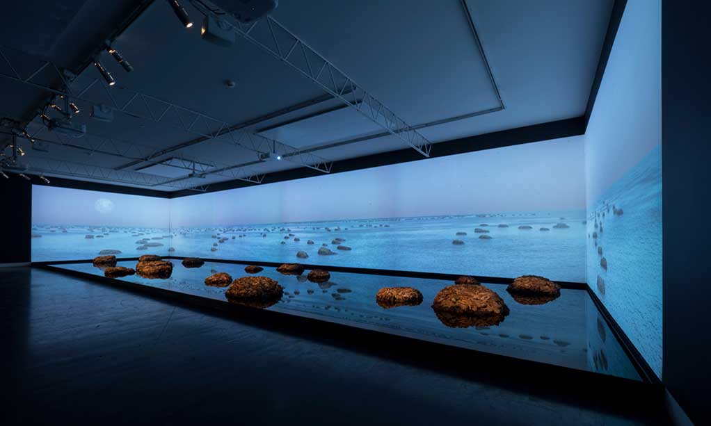 Thumbnail for Art installation imagines life billions of years ago