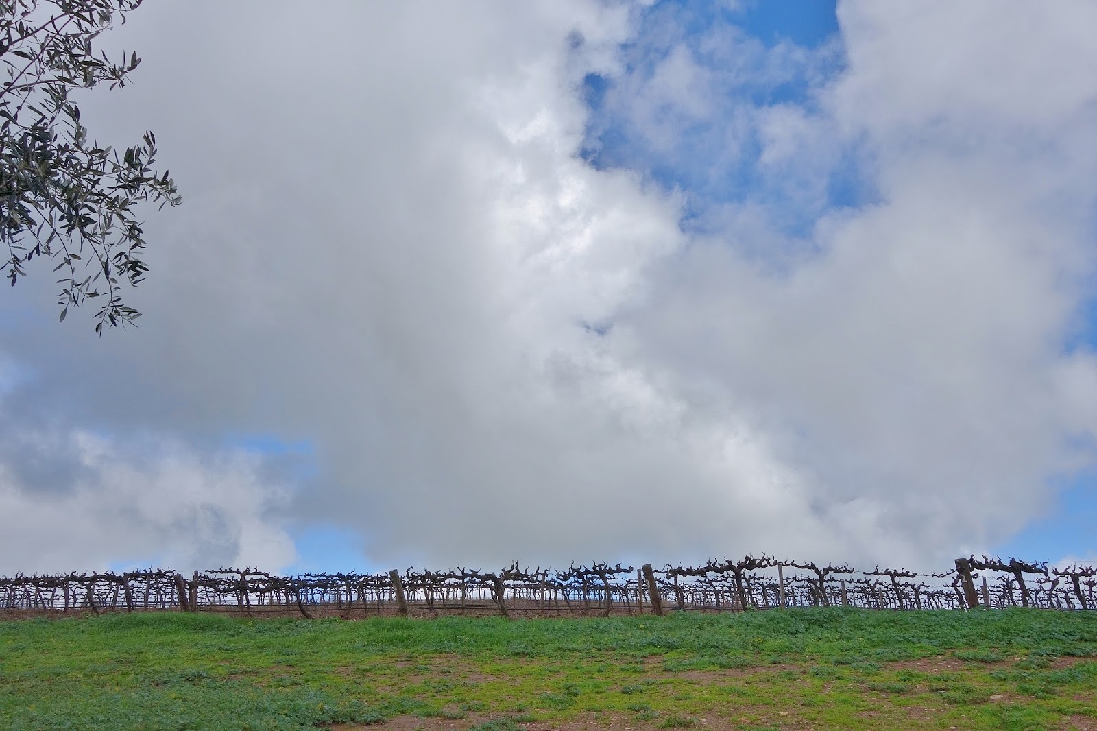 Thumbnail for Building more than a winery in the Barossa