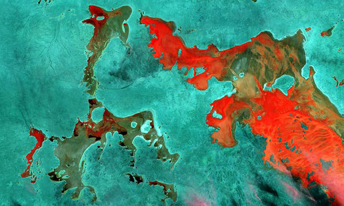 Thumbnail for An artist’s surreal view of Australia – created from satellite data