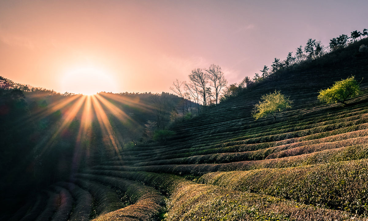 Thumbnail for Poem: Journey to Hadong