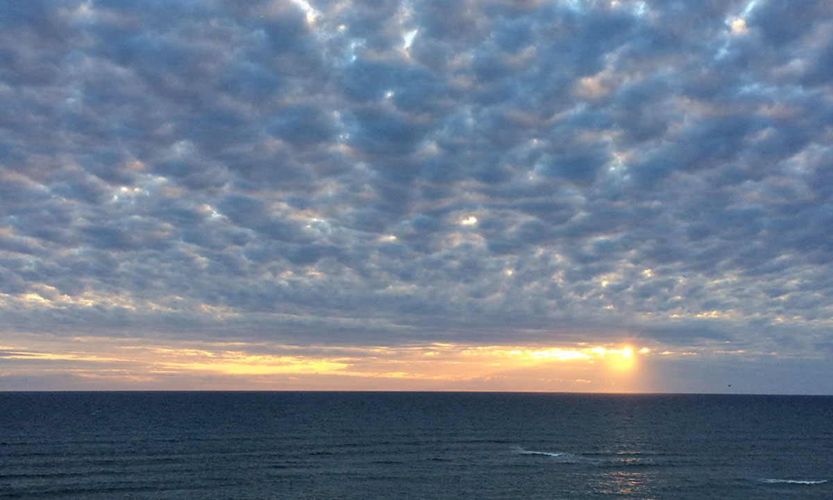 Thumbnail for Poem: Storm