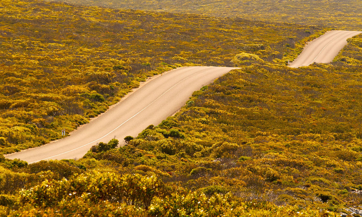Thumbnail for Poem: Kangaroo Island