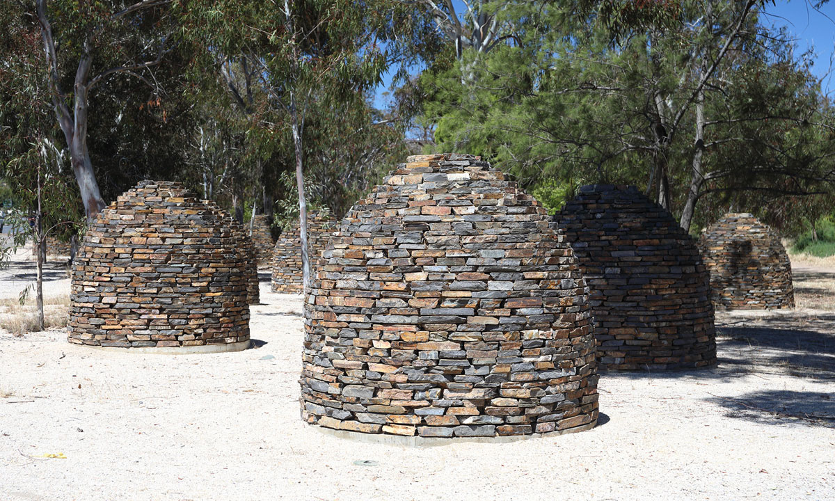 Thumbnail for Art of the City: Adelaide Parklands’ quiet and unmoving sentinels