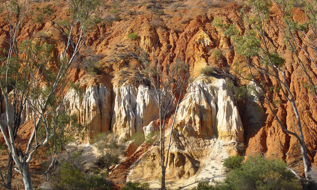 Red cliffs on the Murray River near Renmark. Photo: NJ Molloy / Wikimedia Commons