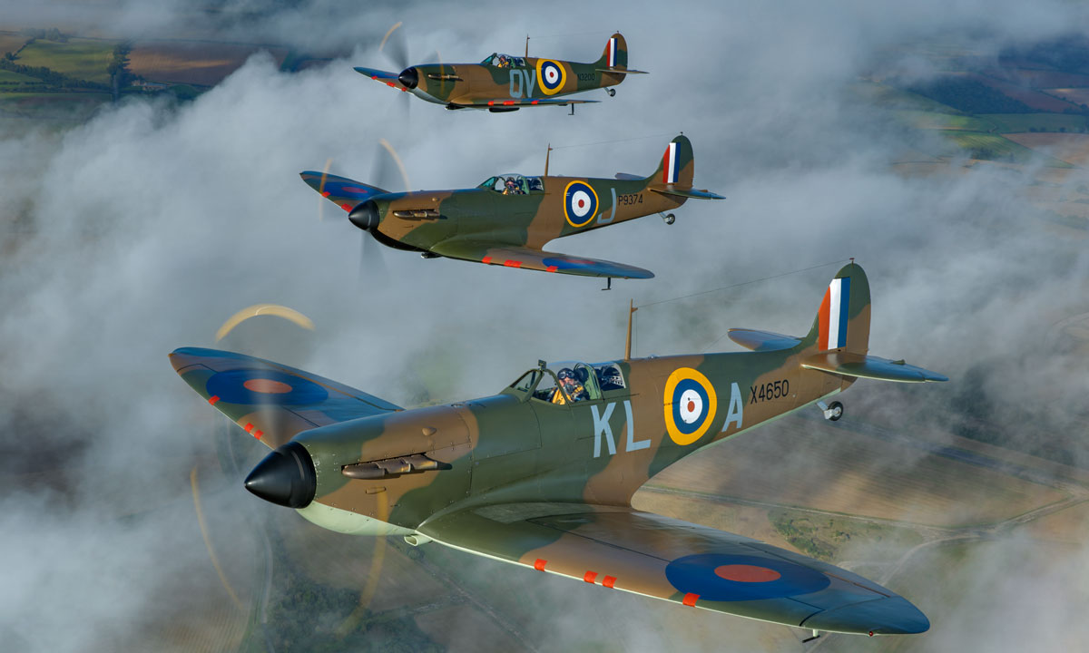 Photo: John Dibbs