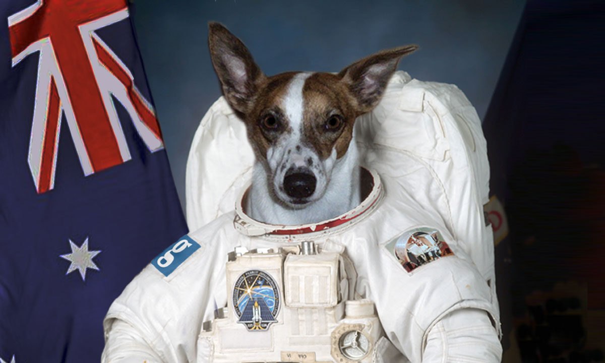 First Dog on the Moon will offer a guide to 'living through the impending apocalypse'.