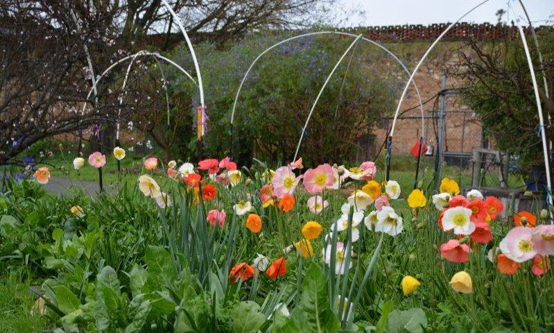 Photo: Open Gardens SA