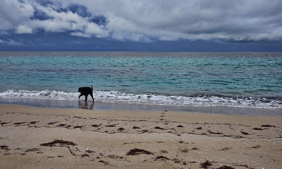 It's always beach weather. Photo: Stephen Beaumont / flickr
