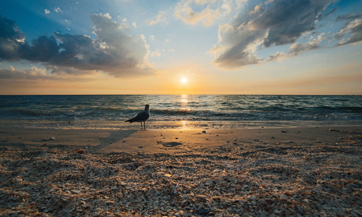 Thumbnail for Poem: On the Beach