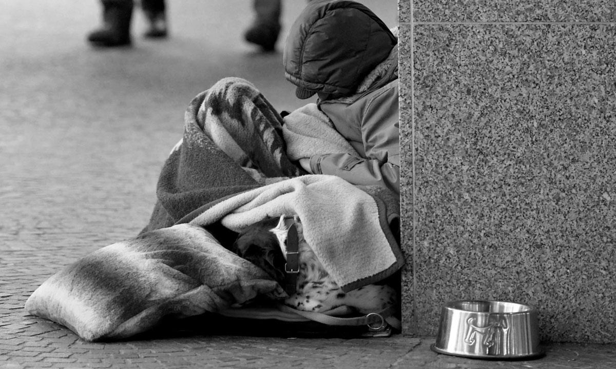 Thumbnail for Contemporary Kant