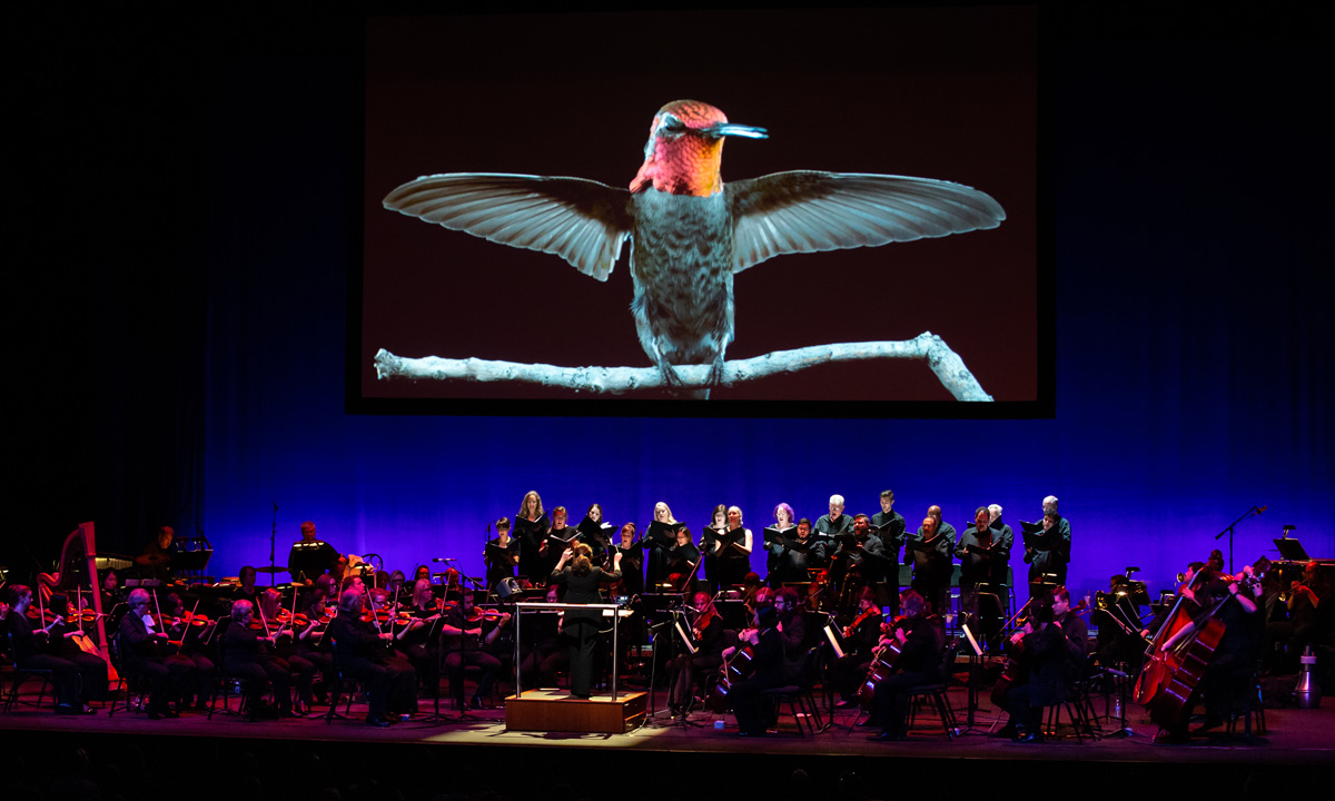 Thumbnail for Thousands expected at free open-air Symphony for Our World