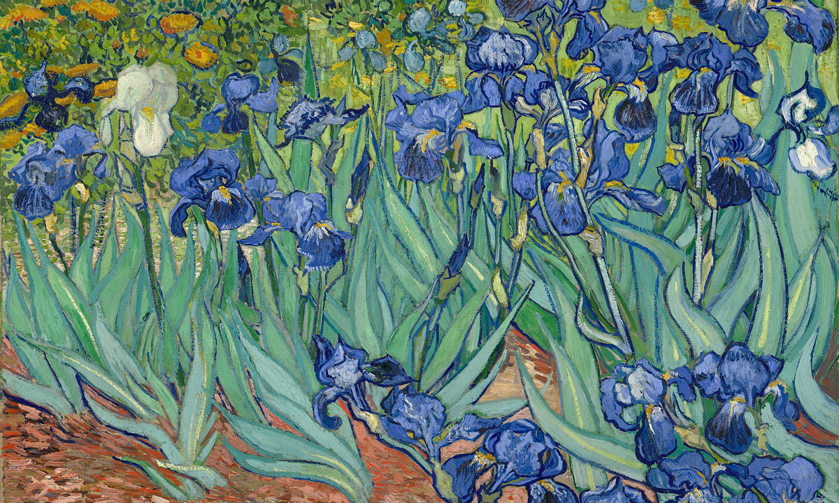 Thumbnail for Poem: Dutch Iris