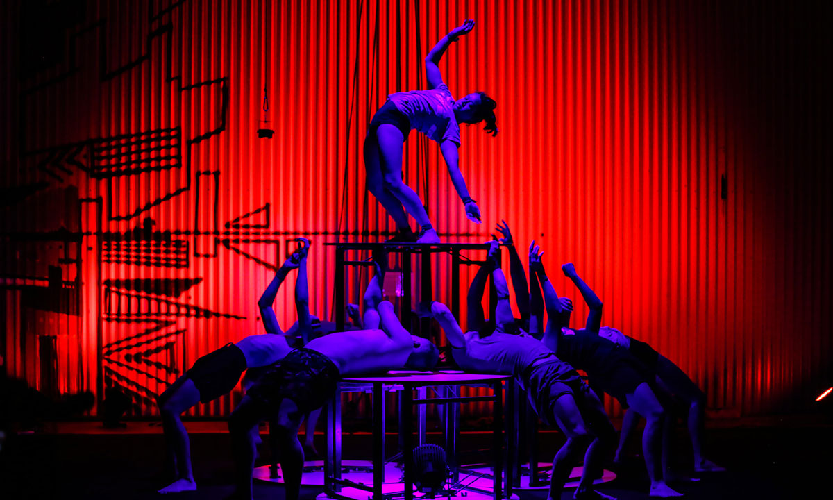 Gravity & Other Myths' Out of Chaos at the 2019 Adelaide Festival.