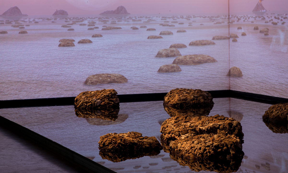 Living Rocks: A Fragment of the Universe, by James Darling and Lesley Forwood. Photo: Sam Roberts