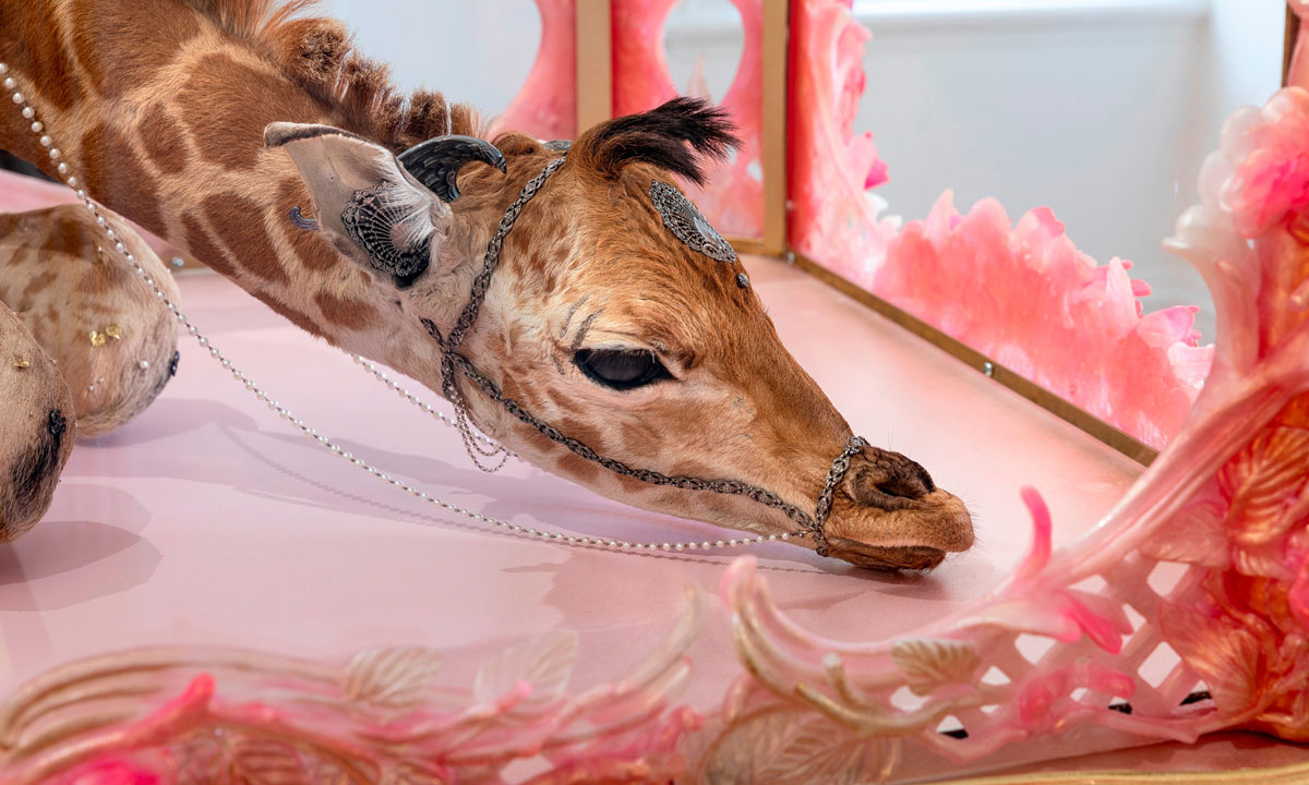 Thumbnail for Bejewelled giraffe among 2019 Ramsay Art Prize finalist works