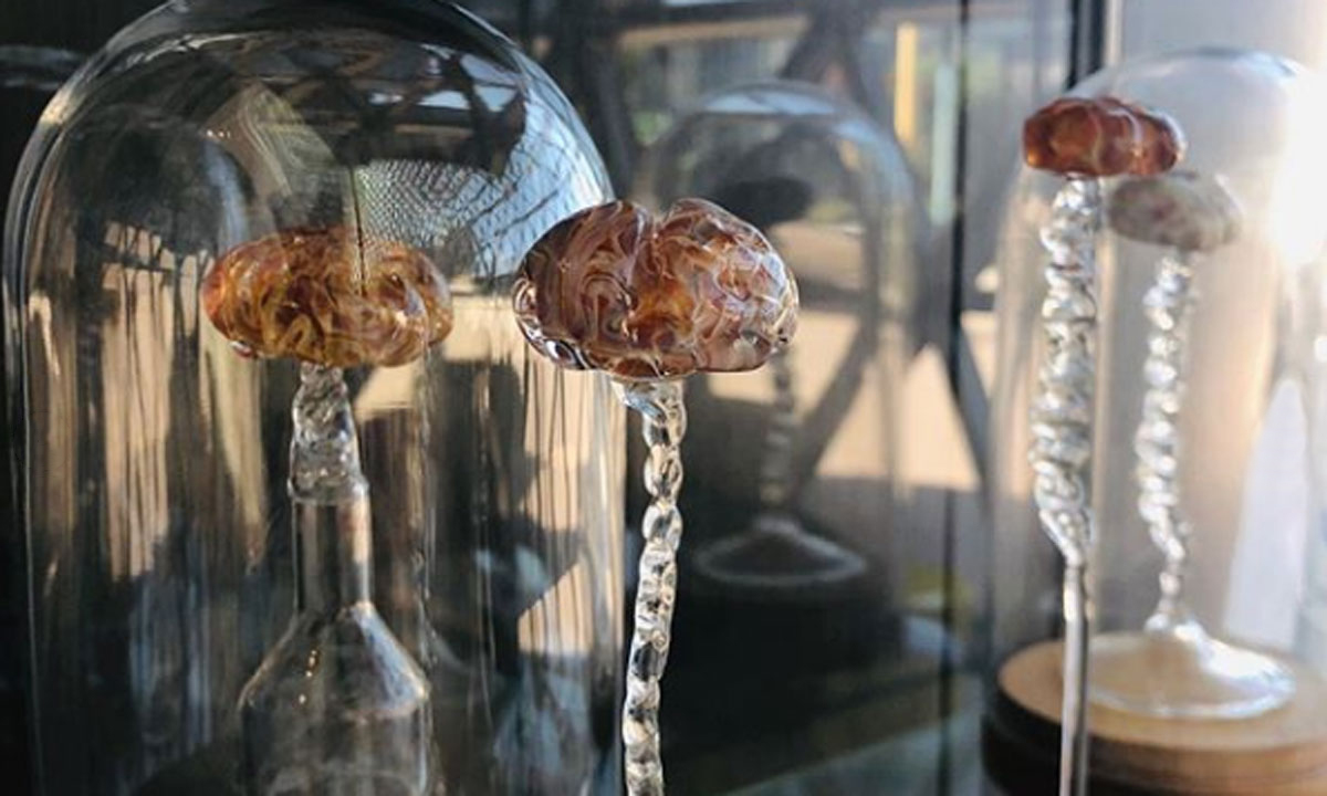 Brains Trust, by Naomi Hunter, SALA artist in residence at SAHMRI. Registrations for SALA Festival close on Monday.