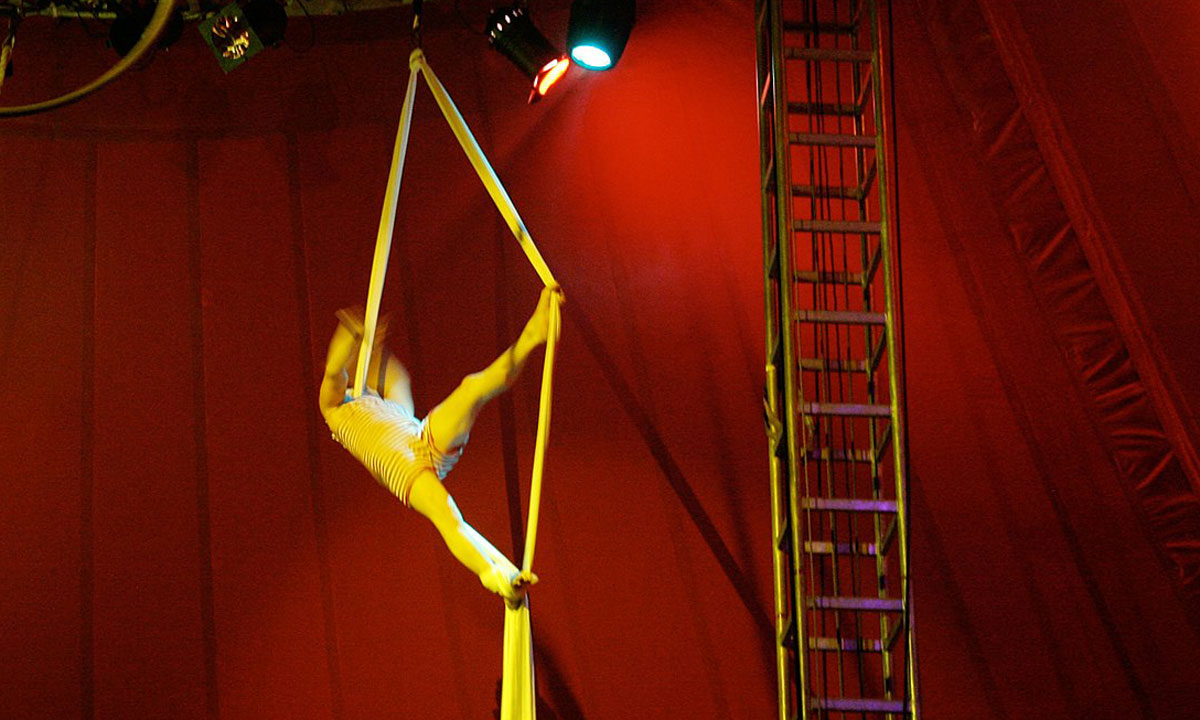 Thumbnail for Plan A: run away to the circus