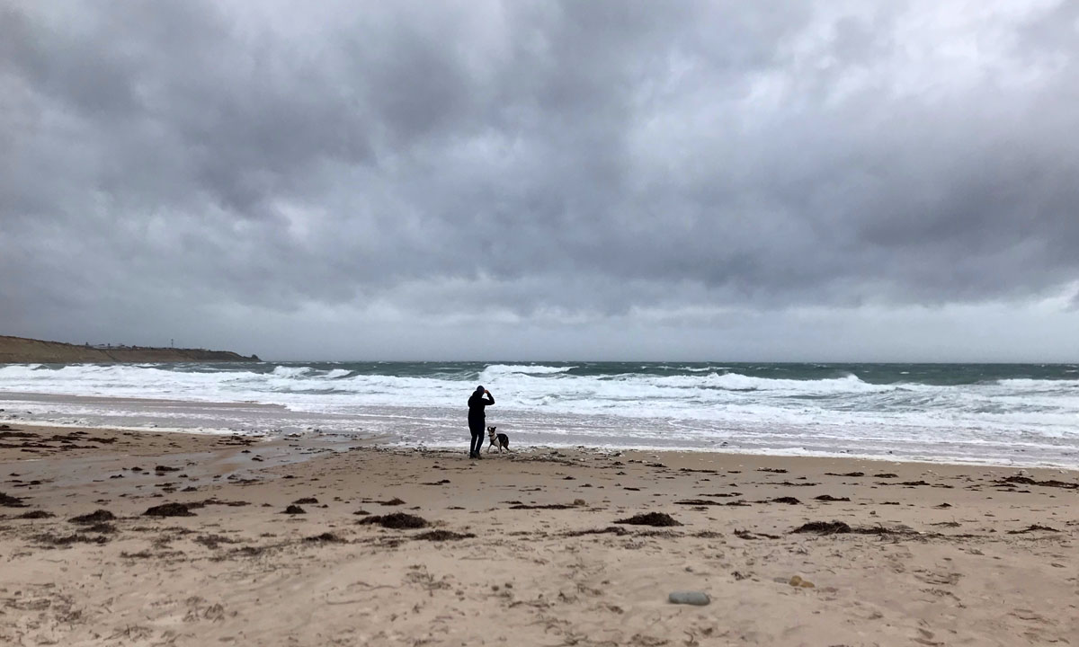 Thumbnail for Poem: Summer has no backup plan