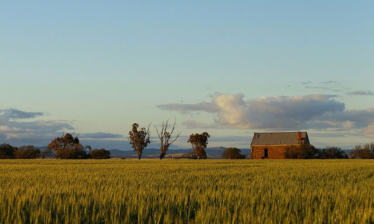 A ruined church amid wheat paddocks at World's End. Photo: Peter Neaum / Wikimedia Commons