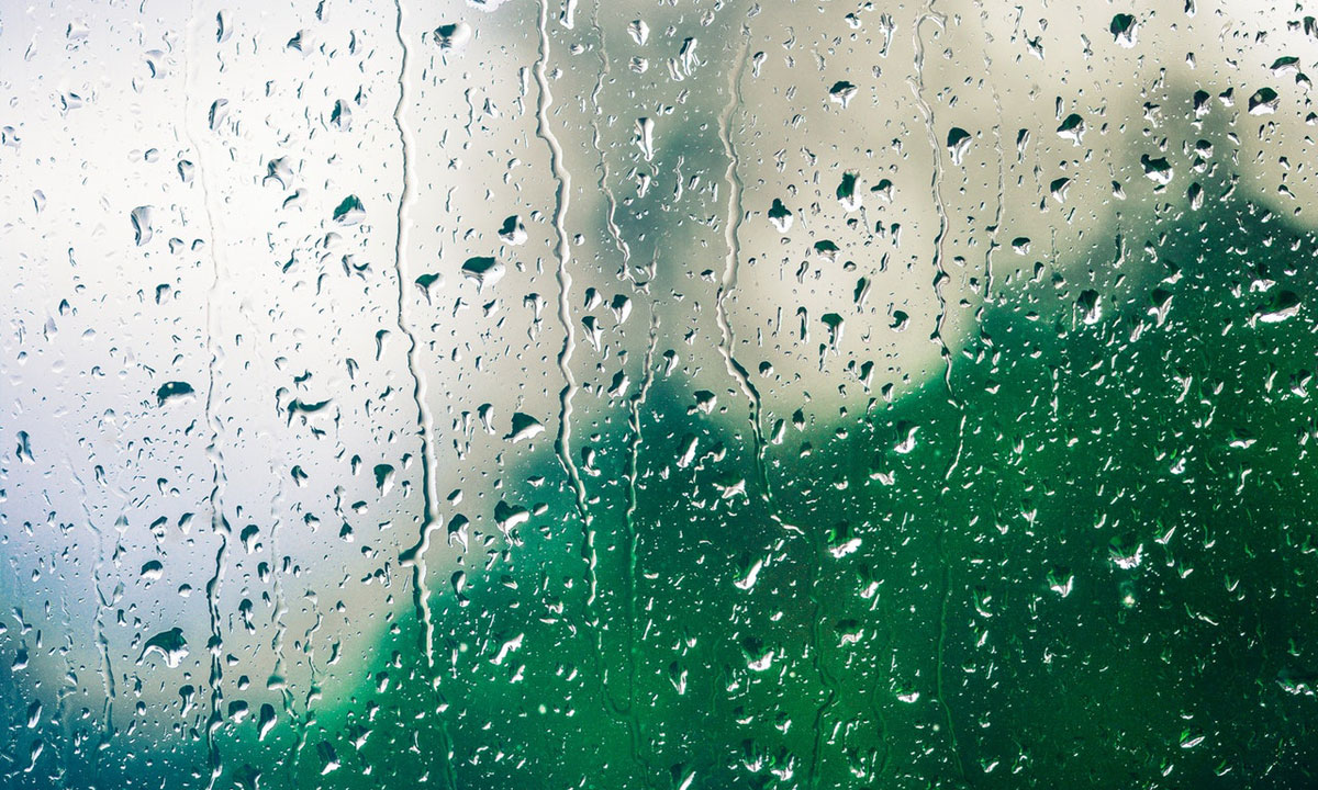 Thumbnail for Poem: Life in water