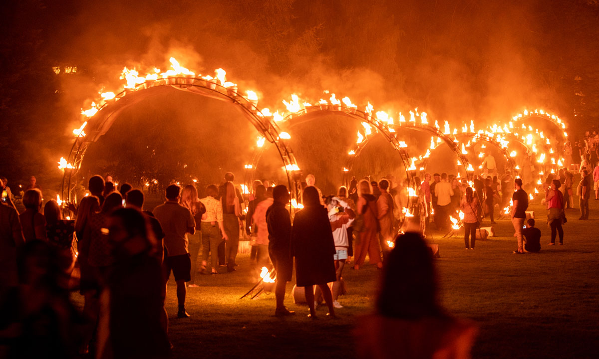 Fire Gardens lights up the Adelaide Botanic Gardens. Photo: Andrew Beveridge