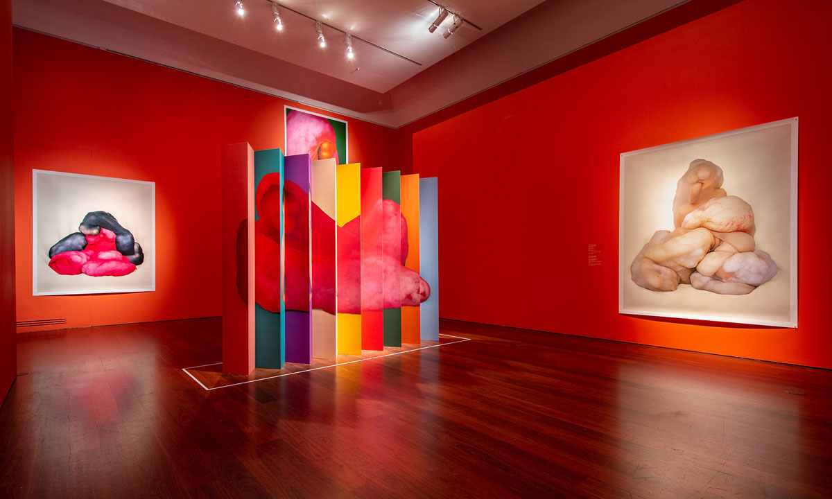 An installation view of the 2020 Adelaide Biennial featuring MORPH by Polly Borland. Photo: Saul Steed