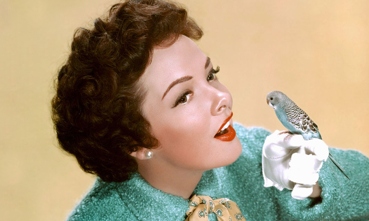 Parakeets proved popular props: American actress and opera singer Kathryn Grayson in a typical studio pose, circa 1950. Photo: Pictorial Press Ltd / Alamy Stock Photo