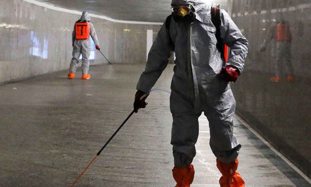 Thumbnail for Reading The Plague now is an uncanny experience