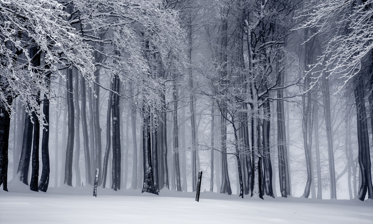 Thumbnail for Book extract: Snow
