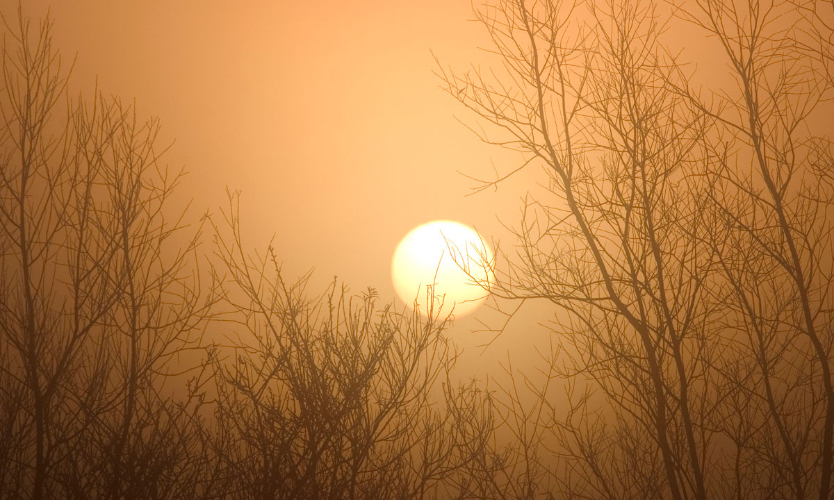 Thumbnail for Poem: ‘And Rise Again’