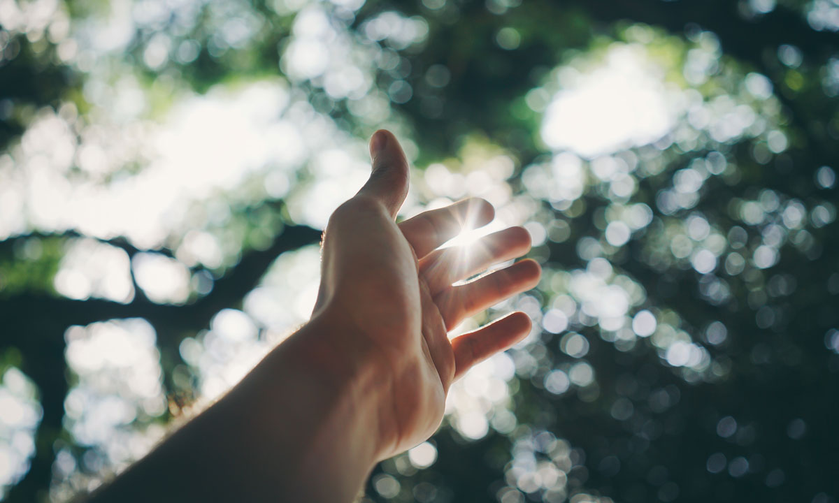 Thumbnail for Poem: Family Suite