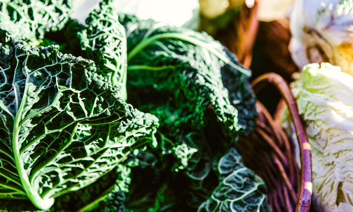 Thumbnail for Poem: Farmers’ market