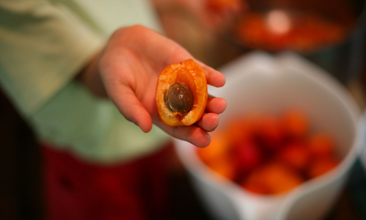 Photo: Doug Reilly / flickr