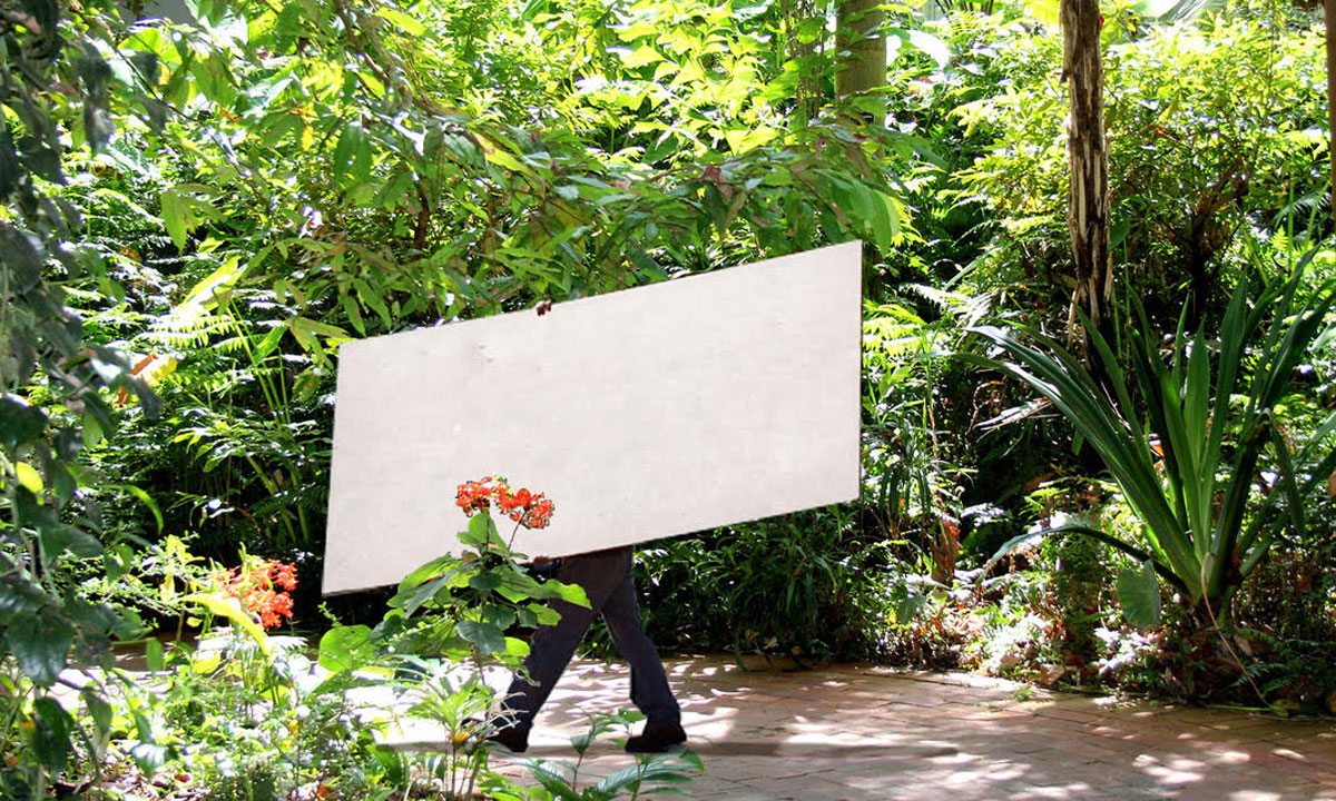 Thumbnail for New SA festival will celebrate nature