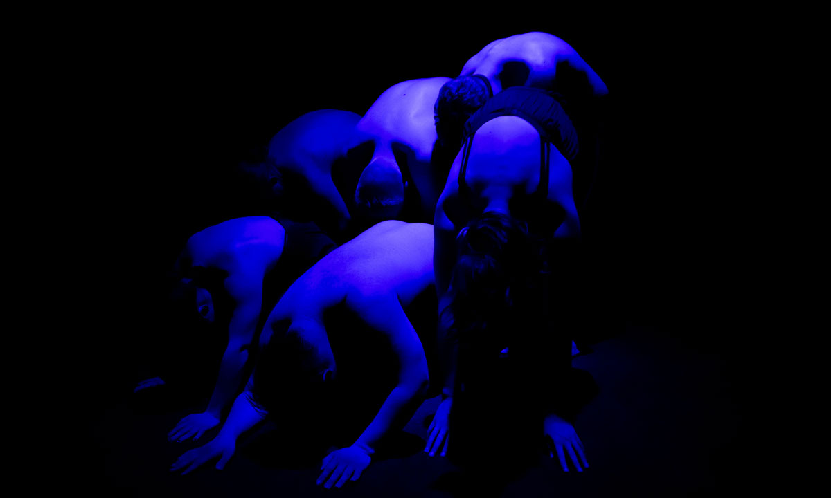 Thumbnail for Review: Restless Dance Theatre’s Seeing Through Darkness
