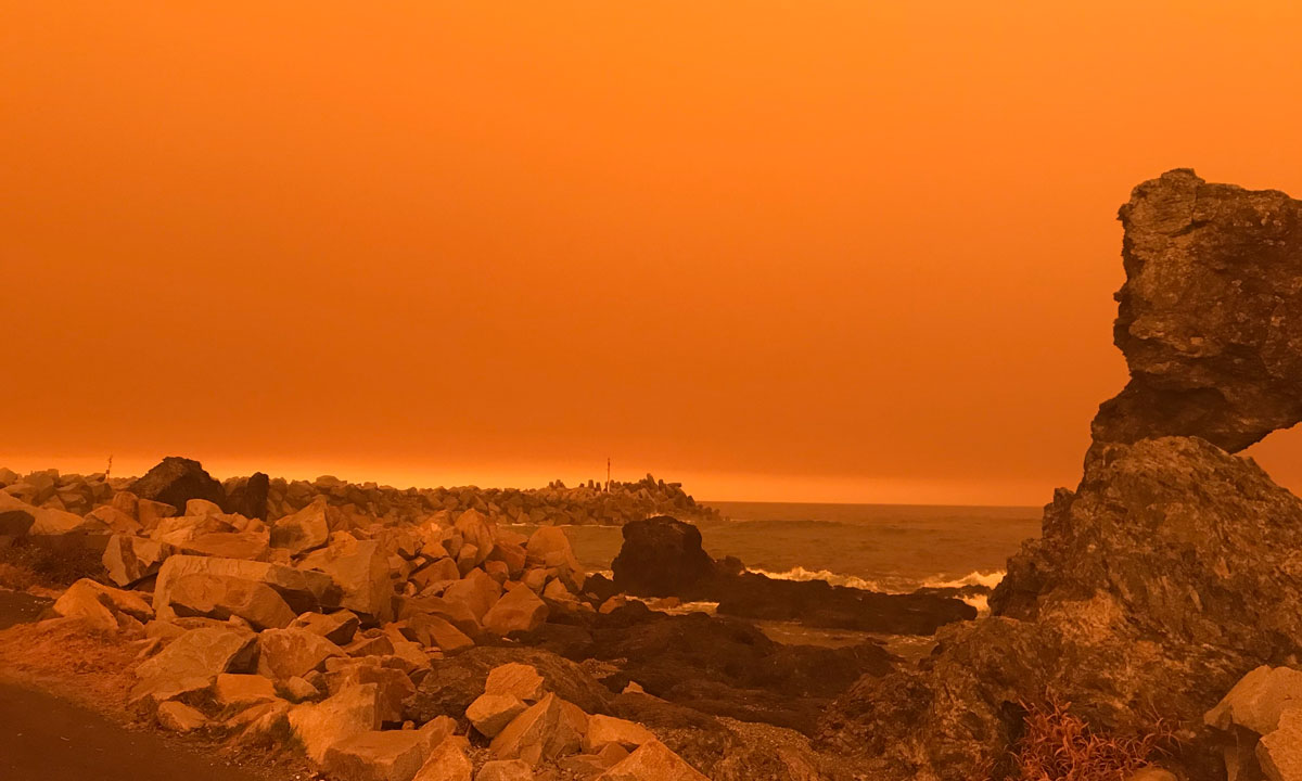 The Living Sea of Waking Dreams emerged from the shadow of Australia's recent bushfire season. Photo: AAP