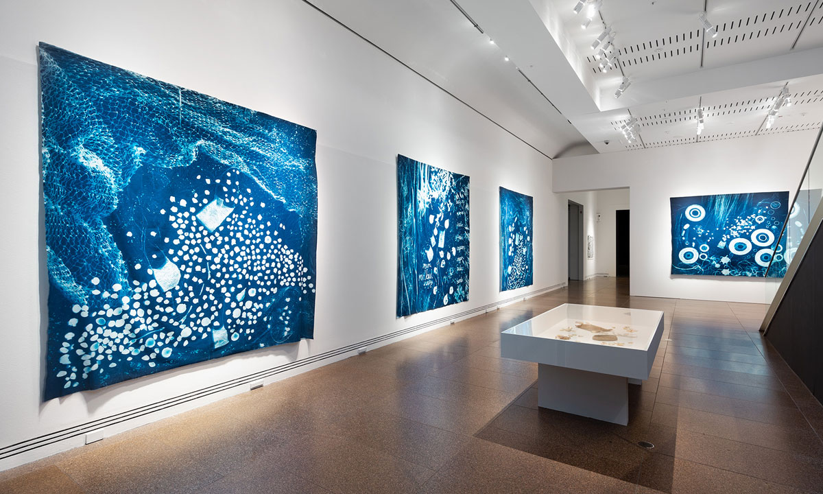 Thumbnail for Tarnanthi 2020 celebrates culture and creativity across generations