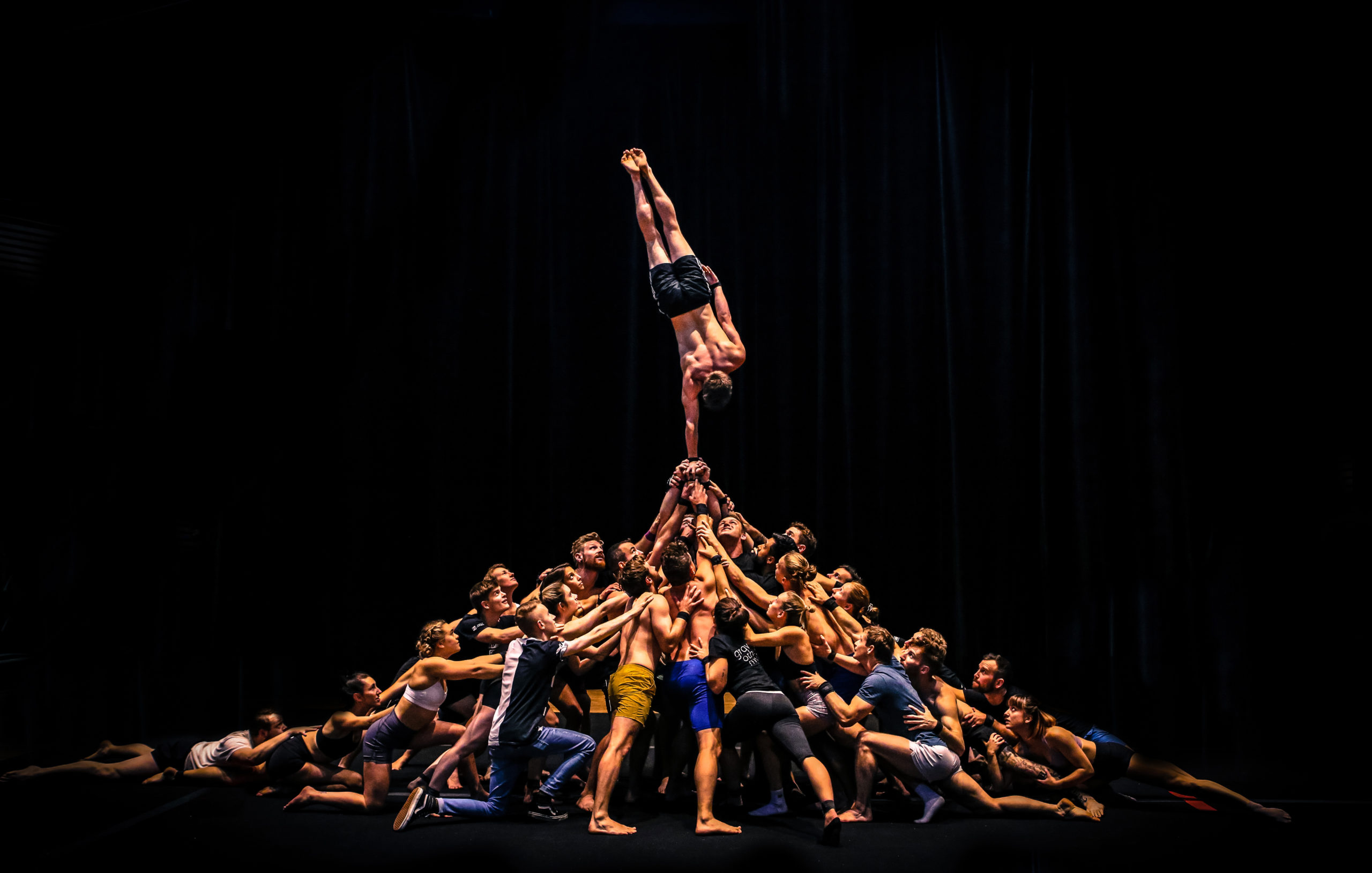 Thumbnail for Festival review: The Pulse