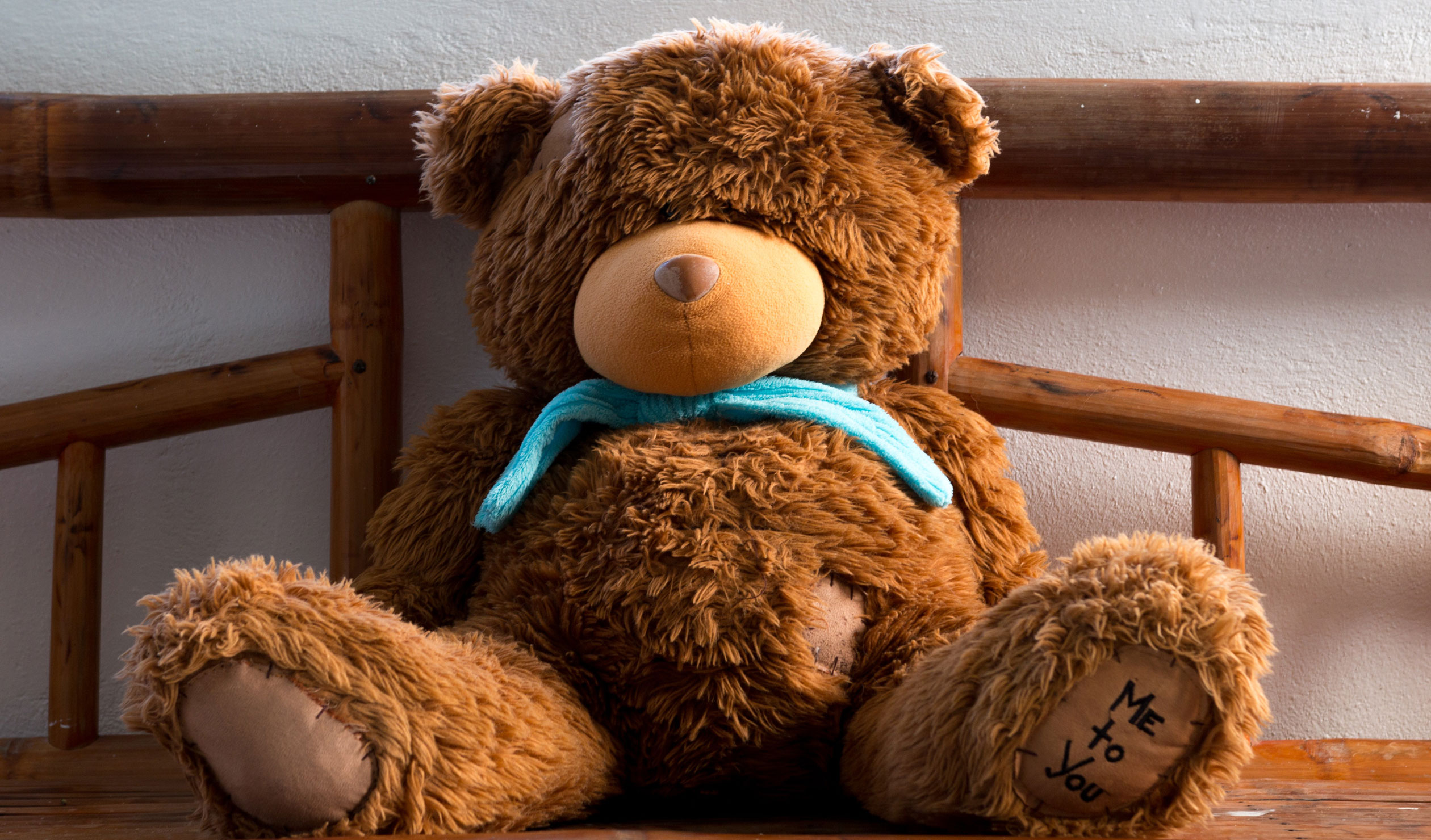 Thumbnail for Poem: Teddy Suite