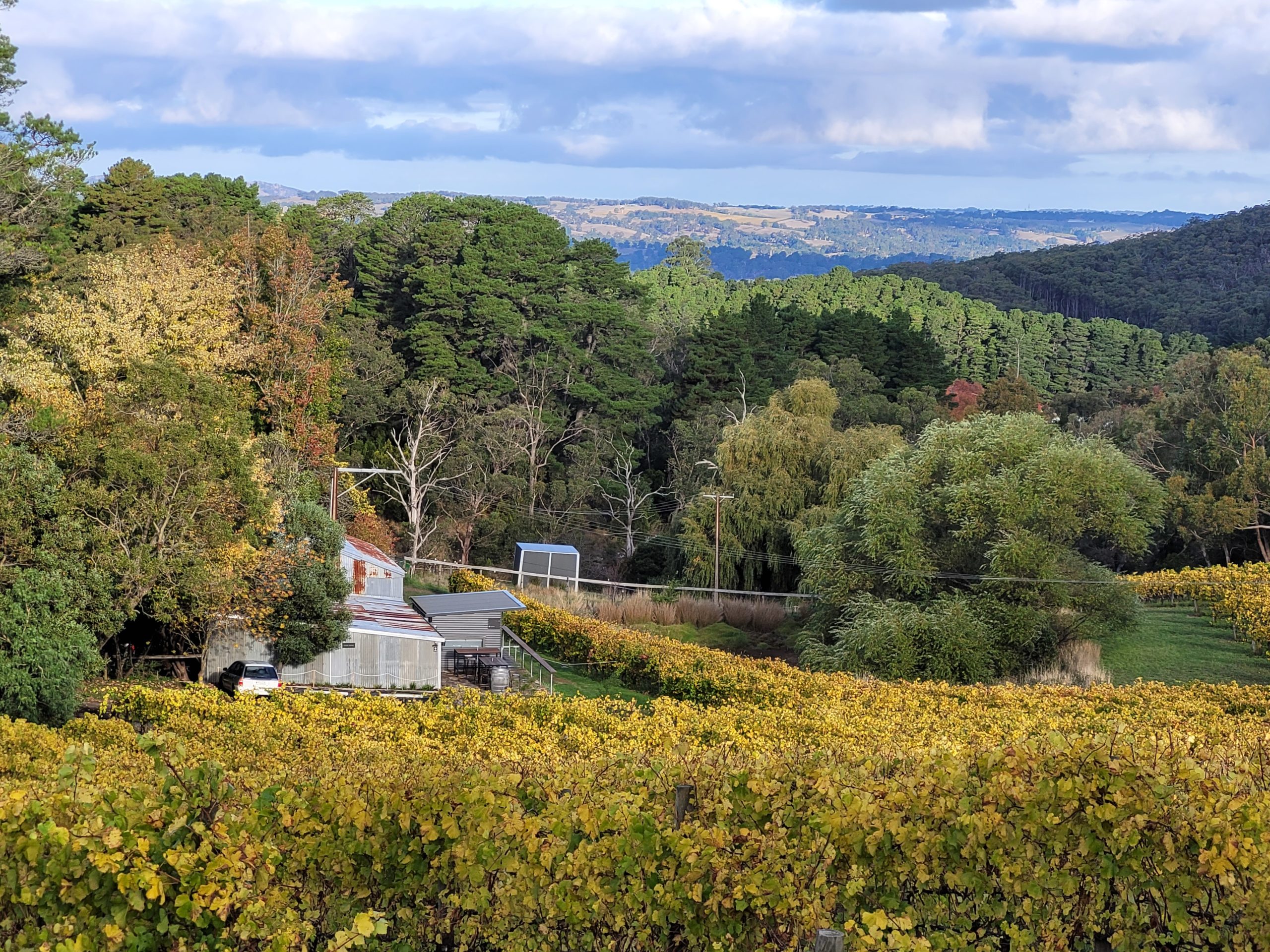 Thumbnail for Exploring the Adelaide Hills’ valley of Chardonnay