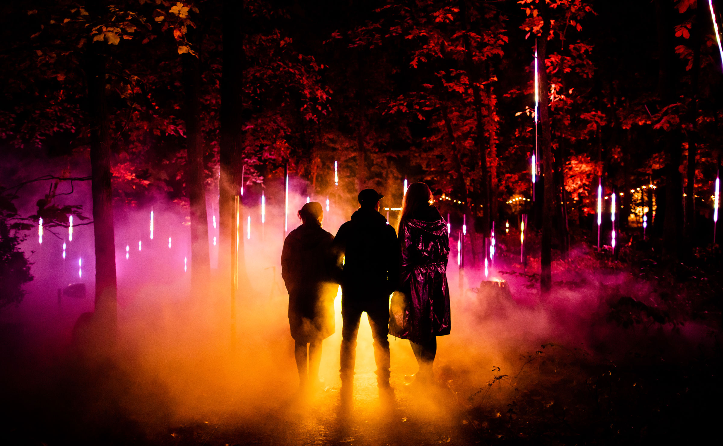 Thumbnail for Illuminate Adelaide unveils plans to light up the city