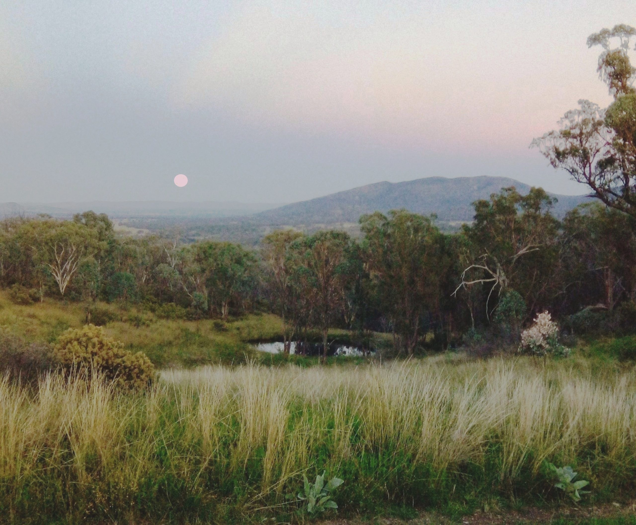 Thumbnail for Poem: The moon, the mountain, and I